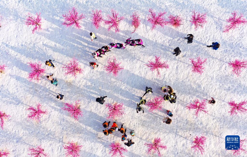 雪遊びを楽しみながら冬季五輪を歓迎する留学生たち　寧夏