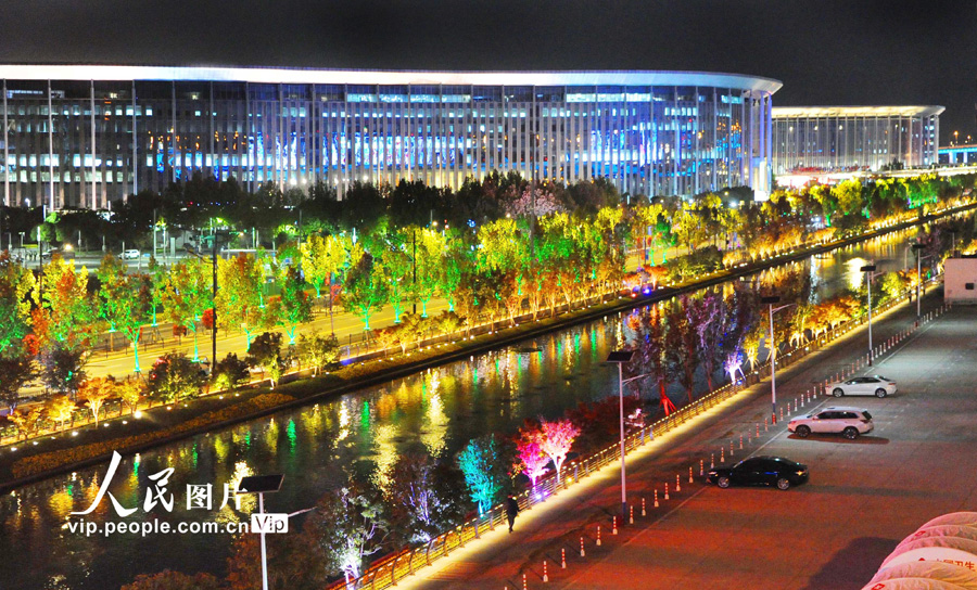 色鮮やかなイルミネーション煌めく輸入博会場の「四つ葉のクローバー」　上海