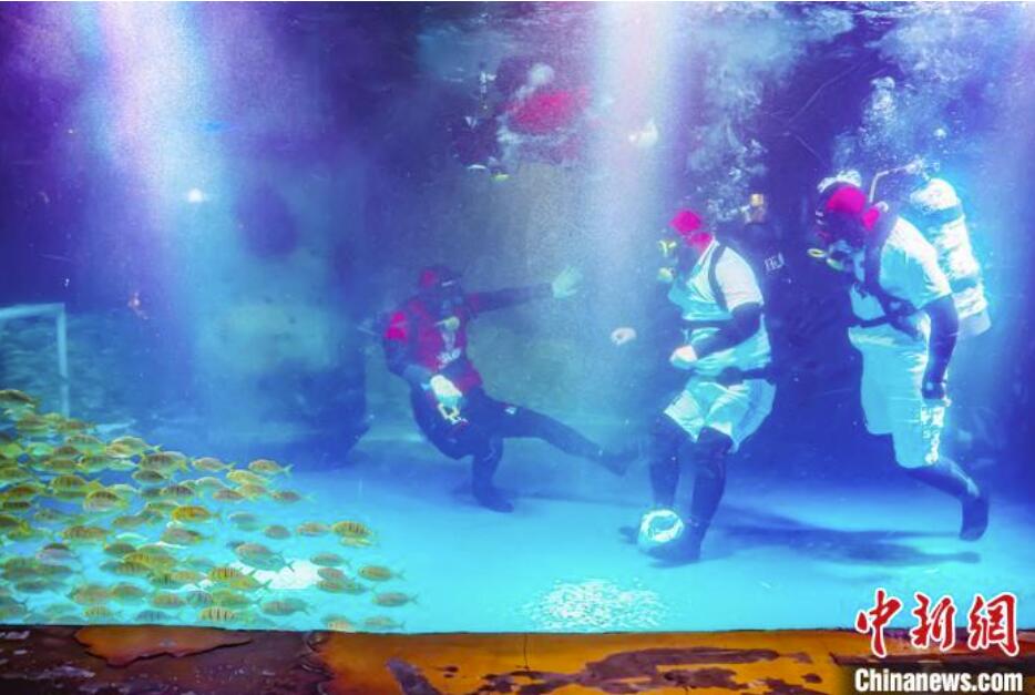 W杯の熱闘に負けるな！南京海底世界で「水中サッカー」開催　江蘇省