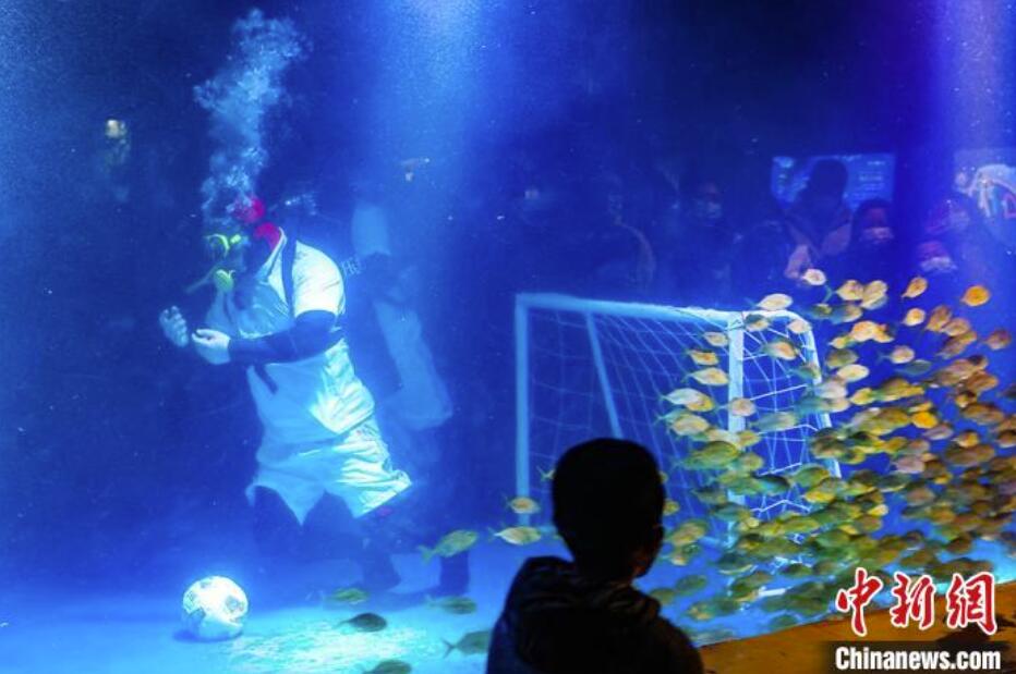 W杯の熱闘に負けるな！南京海底世界で「水中サッカー」開催　江蘇省