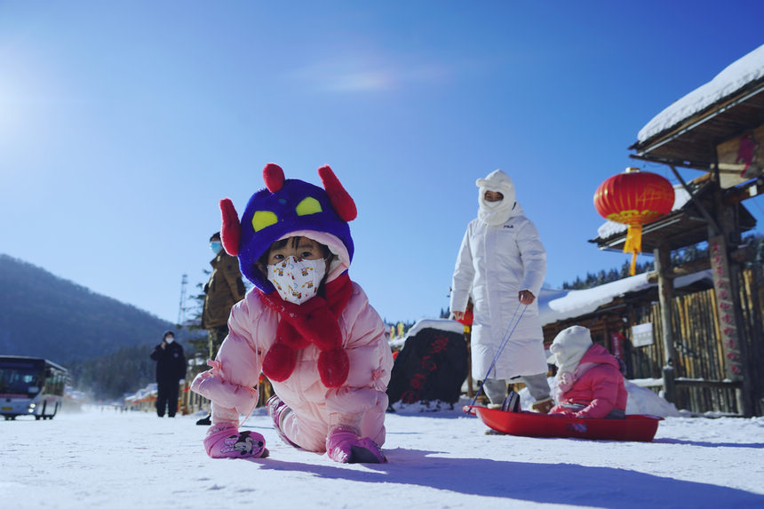 「雪のキノコ」と「雪のケーキ」が観光客を歓迎　黒竜江省