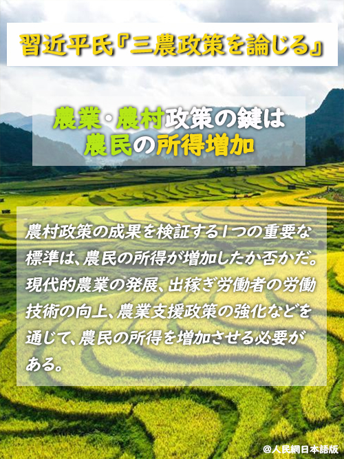 【習近平氏『三農政策を論じる』】農業・農村政策の鍵は農民の所得増加