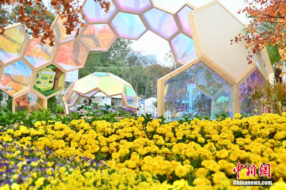 「香港フラワーショー」が復活　美しさを競い合う40万本の花