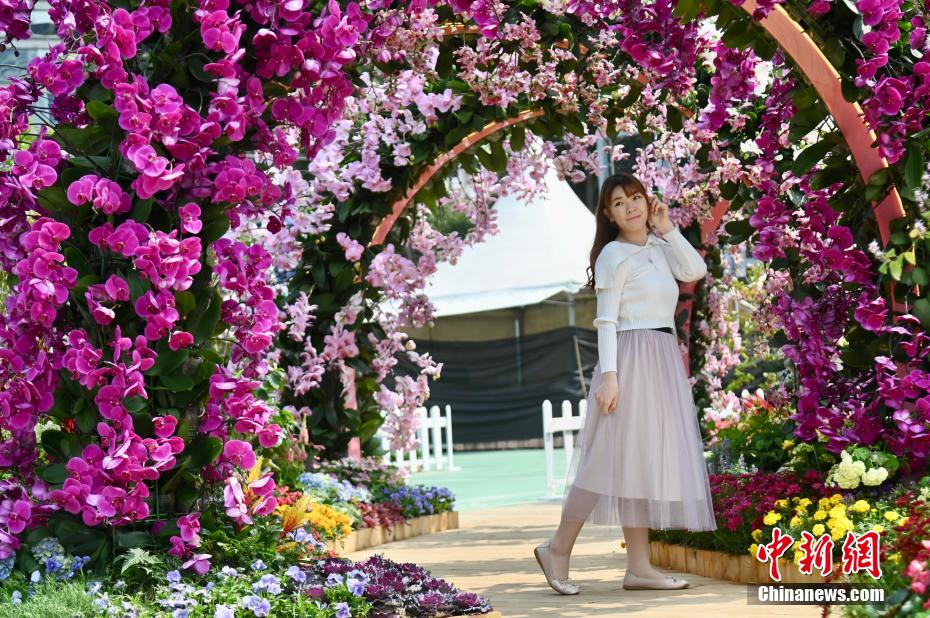 「香港フラワーショー」が復活　美しさを競い合う40万本の花