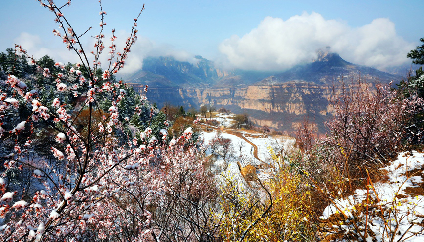 雪化粧を施された太行山の絶景                    太行山に春の雪が降った。ピンクの桃の花に、黄色のレンギョウの花、純白のアンズの花の上に雪が積もり、幻想的な景色が広がっている。詳細>