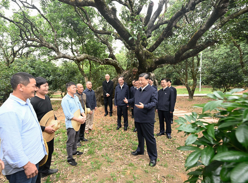 習近平総書記が広東省茂名市を視察