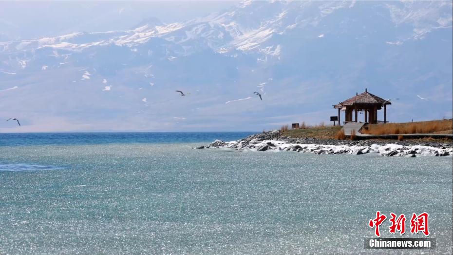 賽里木湖の湖面に広がる「青い氷のパズル」　新疆