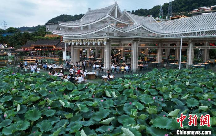 グルメと美しい景色を同時に楽しめるハス池ほとりで火鍋！　重慶市