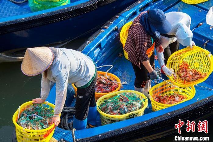 広西・北海の港湾ふ頭に現れた「魚市場」　漁解禁後初の漁獲がずらり