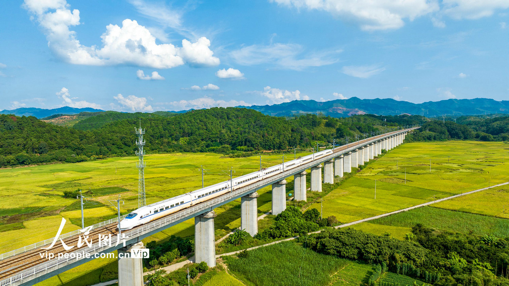 稲の香り漂う黄金の田園風景を疾走する高速鉄道　広西