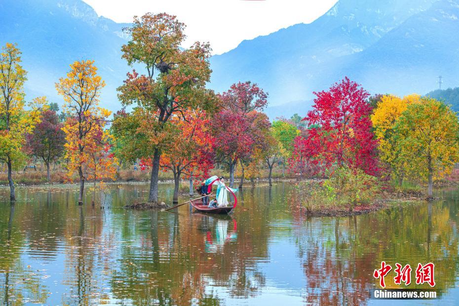 人々を魅了する大別山の紅葉　湖北省羅田