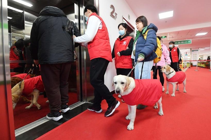 卒業したばかりの盲導犬の引き渡しを受けた視覚障がい者たち（撮影・袁芸）。