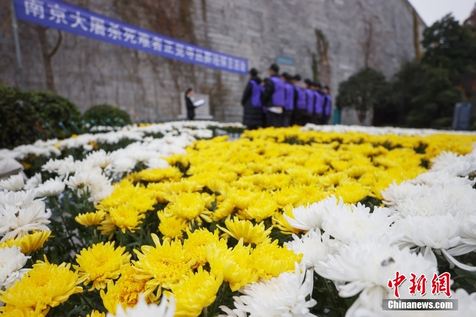 13日の南京大虐殺犠牲者国家追悼日を前に明城壁の墓地に花　江蘇省南京