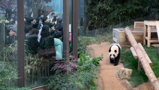 返還控えたパンダ「福宝」との別れを惜しむ韓国の人々                    韓国のテーマパーク・エバーランドで暮らす韓国生まれのジャイアントパンダ「福宝（フーバオ）」が今年4月に、中国に返還されることになっている。関連の国際規定に基づいて、パンダは中国に返還される1ヶ月前から、30日間の出国検疫を受けるほか、新たな環境に適応するための準備を始める必要があるため、「福宝」の一般公開は3月3日で終了することになっている。詳細>