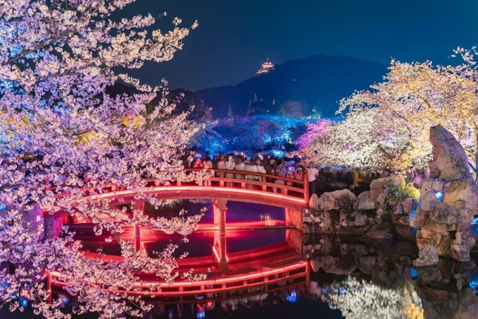 東湖桜花園の景色（写真提供・東湖景勝地）。