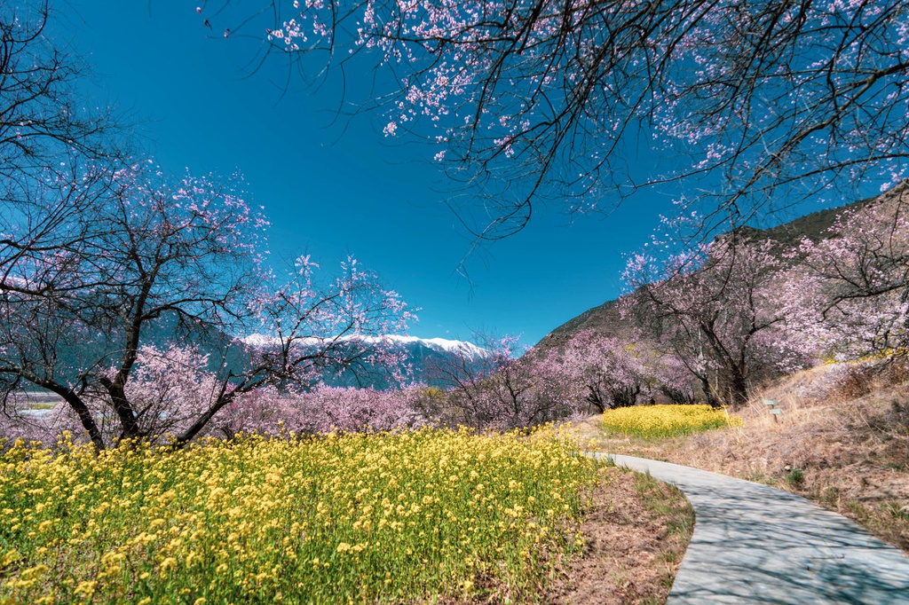 西蔵（チベット）自治区林芝（ニンティ）市（写真著作権は東方ICが所有のため転載禁止）