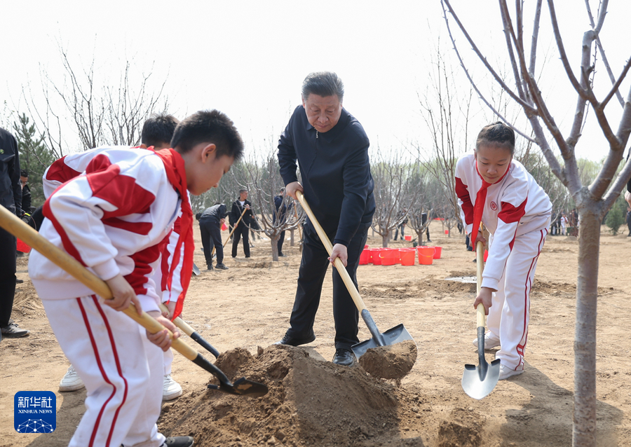 習近平総書記が首都ボランティア植樹活動に参加　「美しい中国を共に築く」