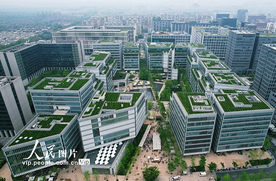 高層オフィスビルの屋上で栽培する龍井茶が新たな都市景観に　浙江省杭州