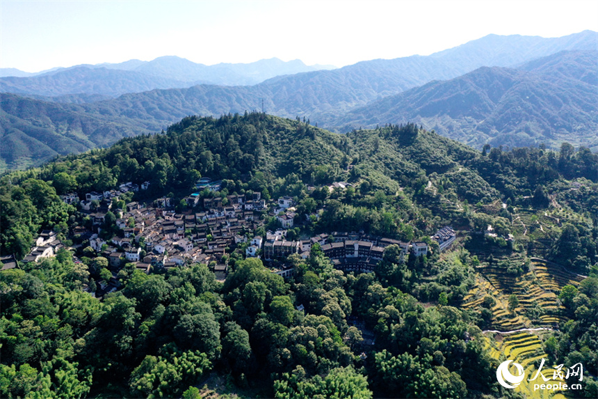 青々と木々が茂る山に囲まれた婺源県の篁嶺村（撮影・時雨）。