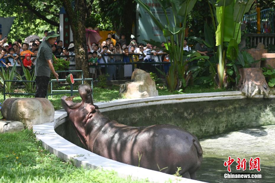 高温が続く広東省広州で動物たちに「ひんやり」届ける