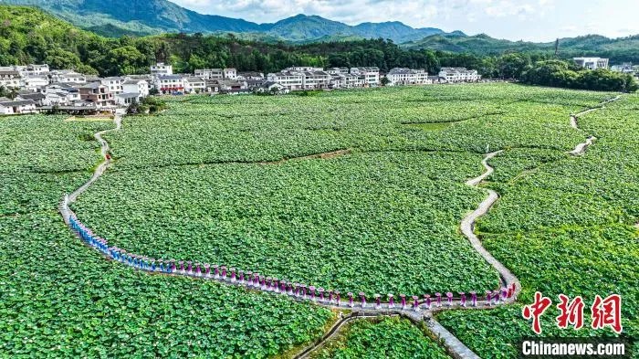 江西省広昌県驛前鎮姚西村の中国蓮花景勝地（撮影・程孟玲）。