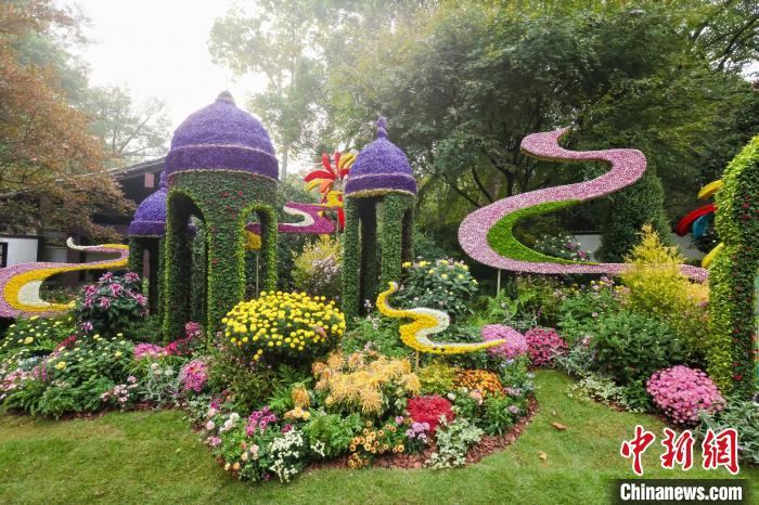 杭州植物園で菊花展が開幕、多彩な品種で表現する園芸の魅力　浙江省杭州