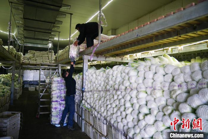 中国-ラオス鉄道で東南アジアの食卓へ運ばれる通海県の野菜　雲南省