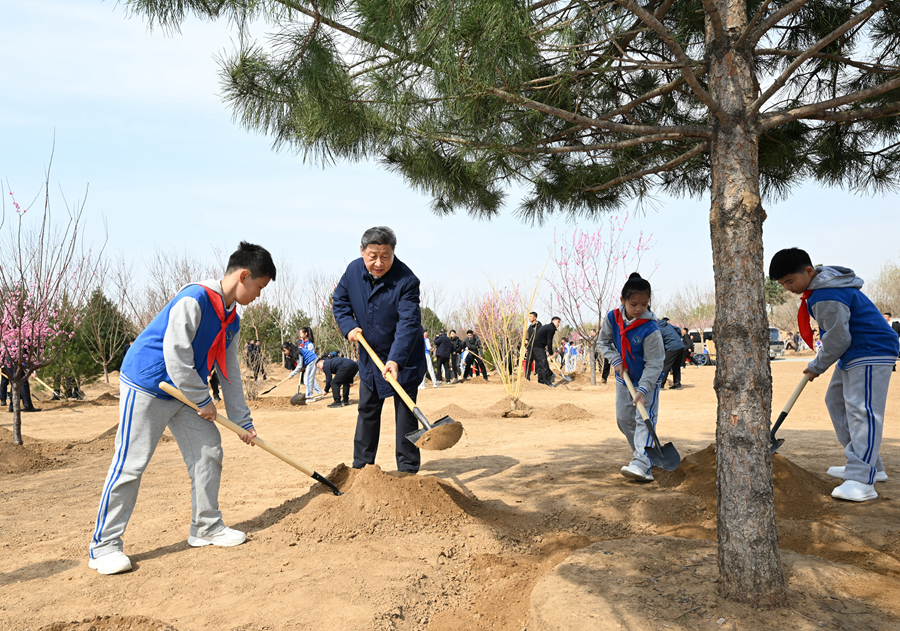 習近平総書記が首都ボランティア植樹活動に参加「祖国の大地をより緑豊かで生き生きとしたものに」