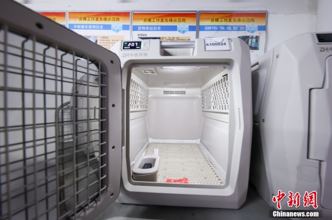 中国初の高速列車ペット預かりサービスが10日から本格的にスタート