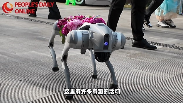 山東省菏沢市の艶やかな牡丹の花が産業発展を牽引