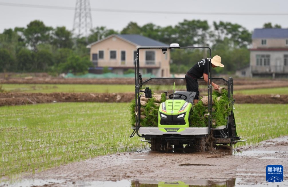 春の耕作で活躍する自動運転田植機　湖南省