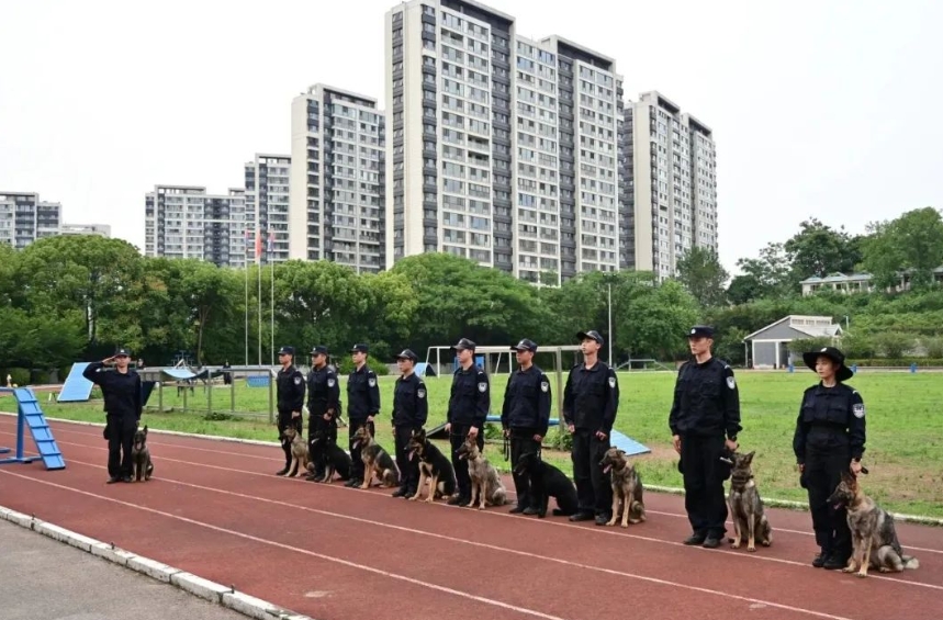 中国の「警察犬技術」学科が話題に　学生に子犬が配られるって本当？