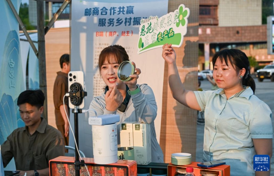 農家の富裕化と産業振興に寄与する「藤茶」　湖北省来鳳