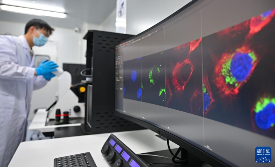 海口税関分析所がWCO地域税関分析所に認定　海南省
