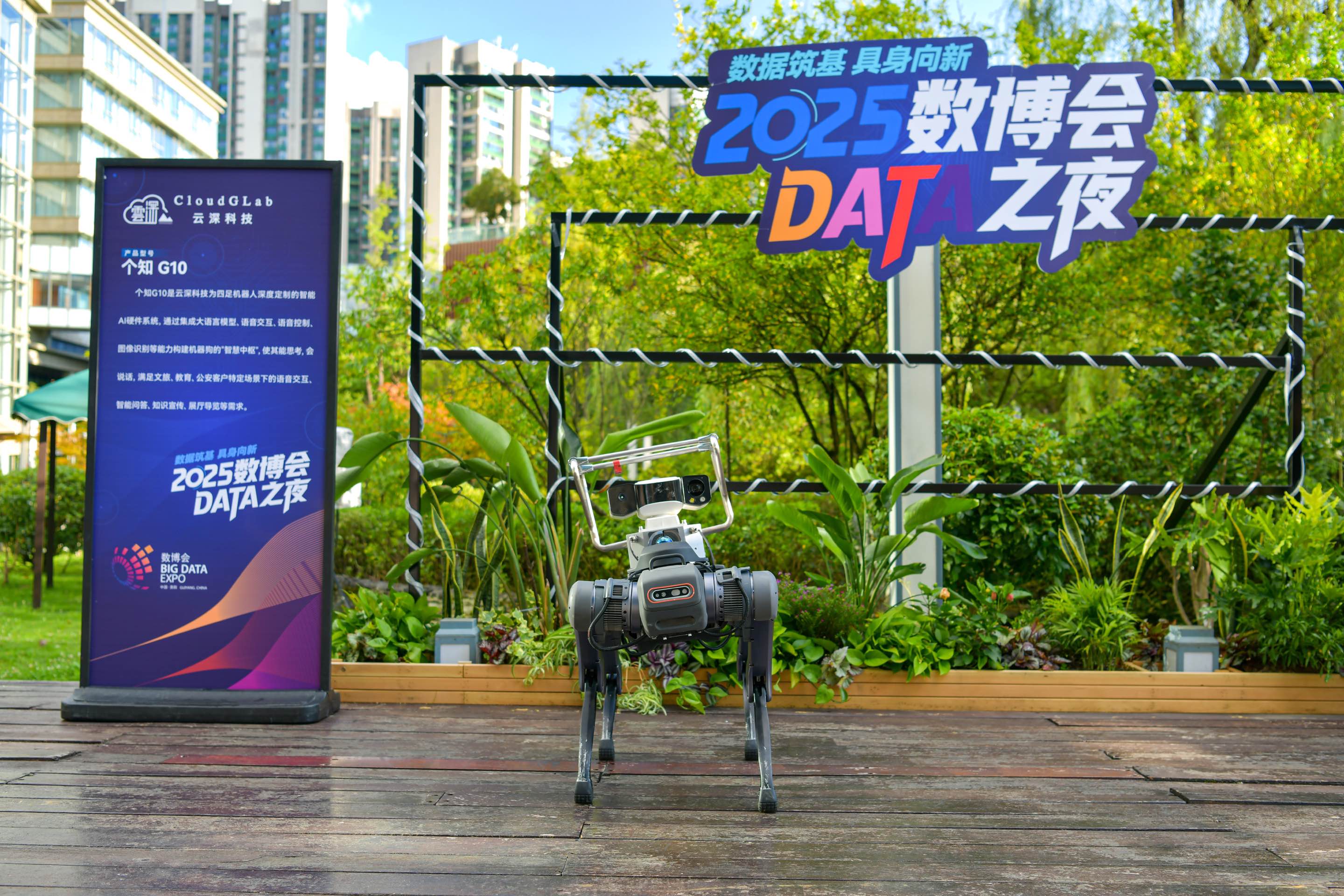イベント「DATAの夜」に登場した犬型ロボット。(撮影・任峰涛)