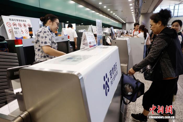 中国東方航空がペットと一緒に機内搭乗できるサービスを開始