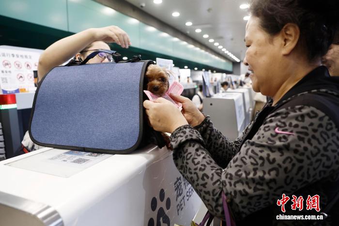 中国東方航空がペットと一緒に機内搭乗できるサービスを開始