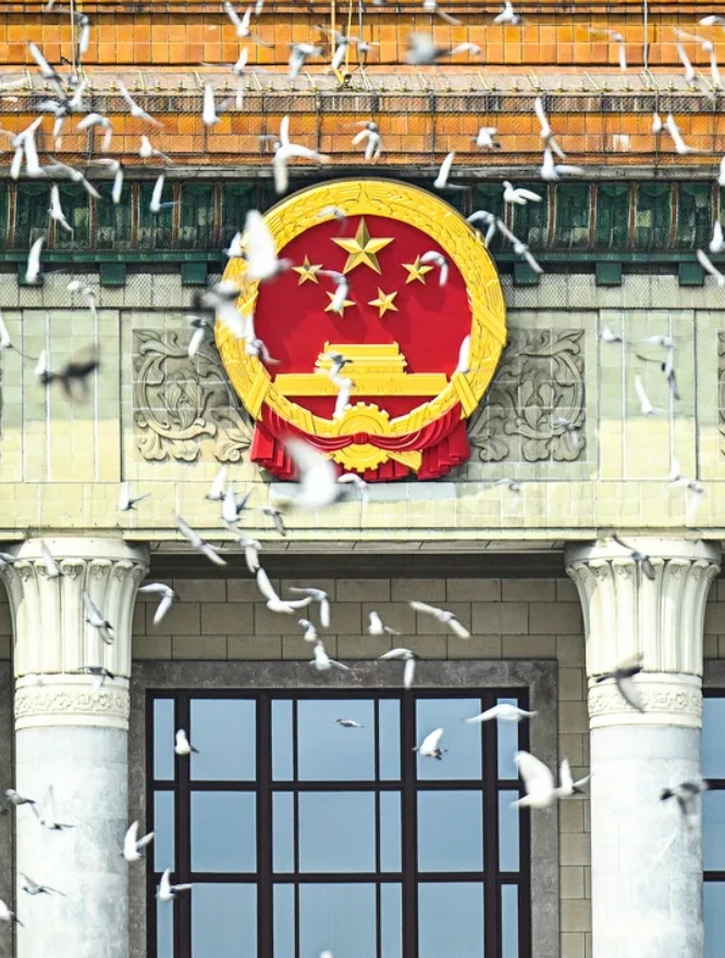 記念大会で放たれたハト(撮影・張宏祥)。