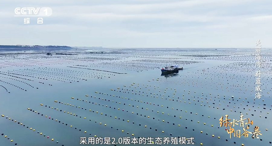 国連が普及を目指す中国の複合エコ養殖　山東省威海