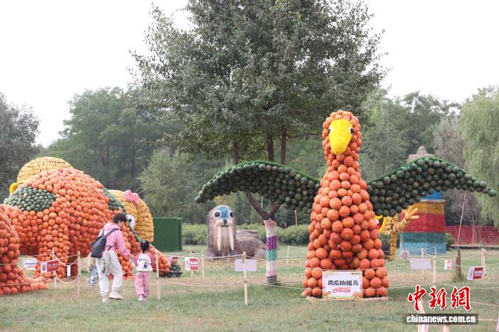 カボチャや藁などで作った恐竜が登場！寧夏・銀川の文化観光イベント