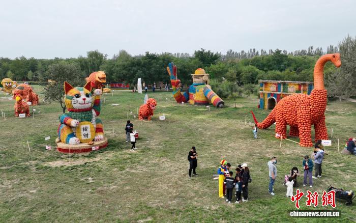 カボチャや藁などで作った恐竜が登場！寧夏・銀川の文化観光イベント