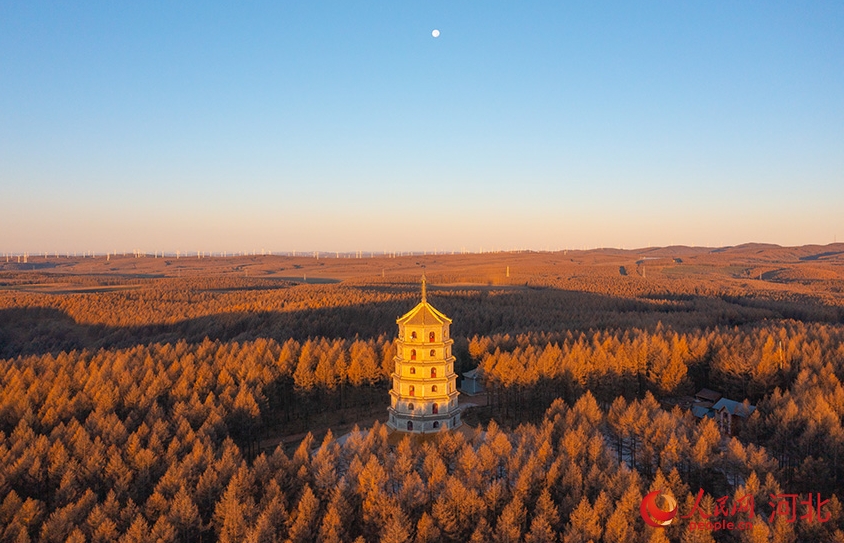この時期ならではの美しい秋景色が広がる河北省囲場