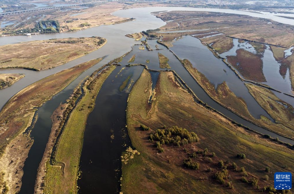 湿地に広がる風情ある秋景色　黒竜江省哈爾浜