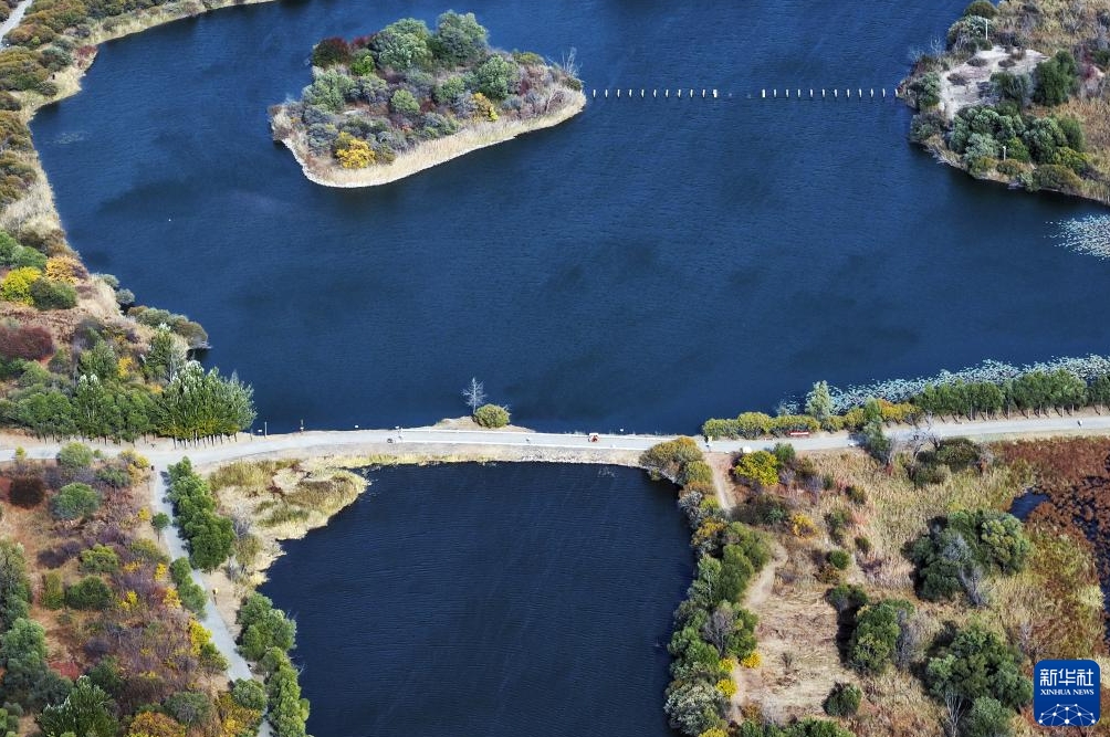 湿地に広がる風情ある秋景色　黒竜江省哈爾浜