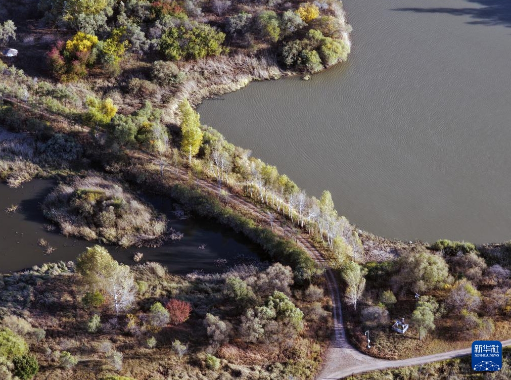 湿地に広がる風情ある秋景色　黒竜江省哈爾浜