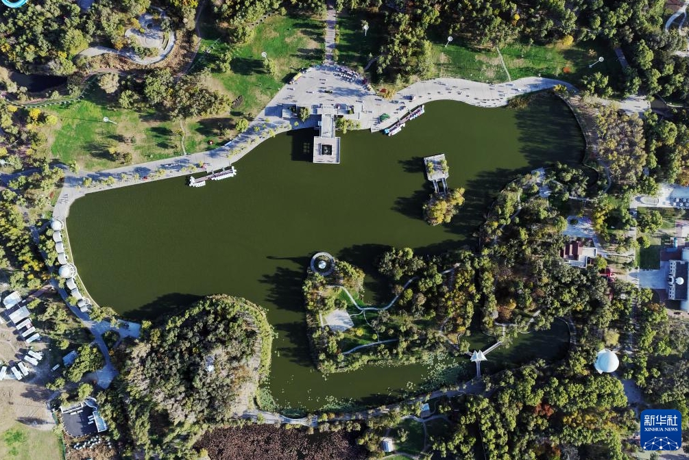 湿地に広がる風情ある秋景色　黒竜江省哈爾浜