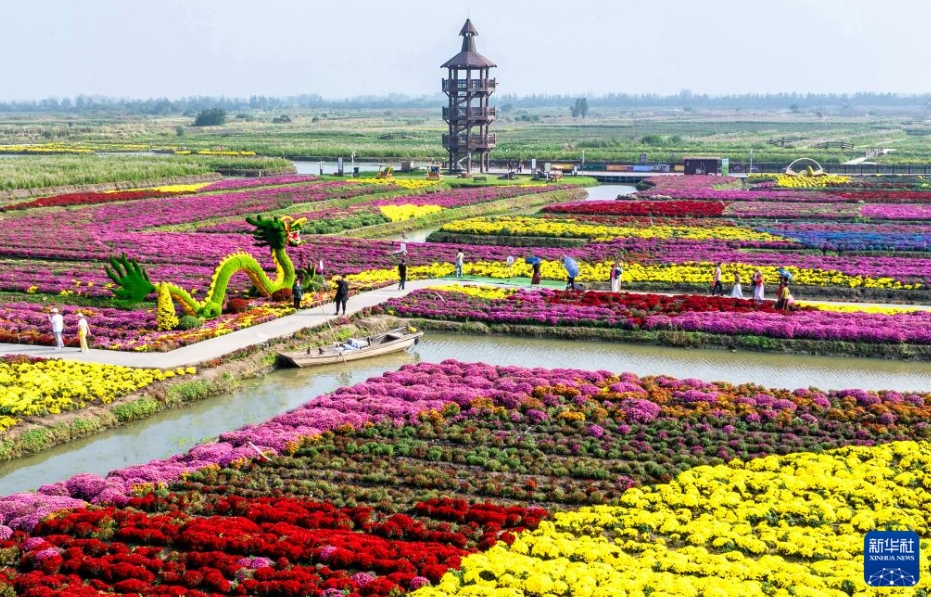 秋深まる中国各地に広がる美しい風景の数々