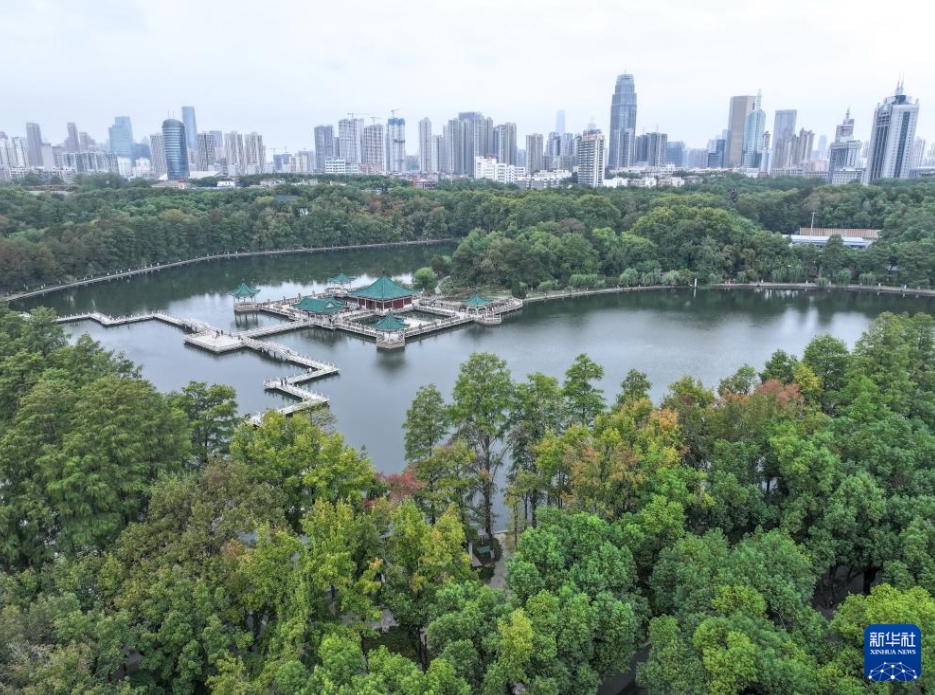 秋深まる中国各地に広がる美しい風景の数々