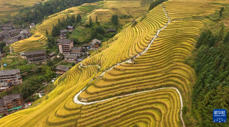 秋深まる中国各地に広がる美しい風景の数々