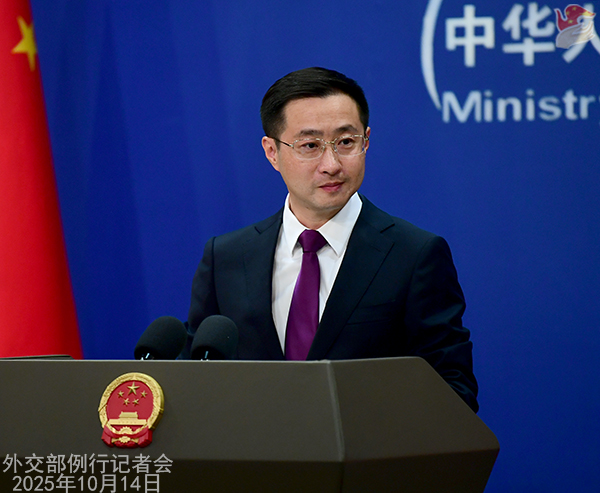 外交部「中国はより開かれた姿勢で世界市場と連携」